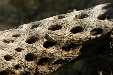 Поездка Олега Ковтуна (Украина) и Сергея Демо (США) в ноябре 2009