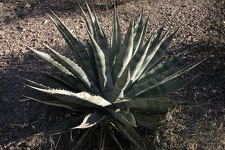 Поездка Олега Ковтуна (Украина) и Сергея Демо (США) в ноябре 2009