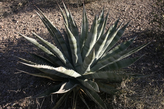 Поездка Олега Ковтуна (Украина) и Сергея Демо (США) в ноябре 2009