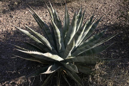 Поездка Олега Ковтуна (Украина) и Сергея Демо (США) в ноябре 2009