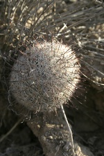 Поездка Олега Ковтуна (Украина) и Сергея Демо (США) в ноябре 2009