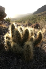 Поездка Олега Ковтуна (Украина) и Сергея Демо (США) в ноябре 2009