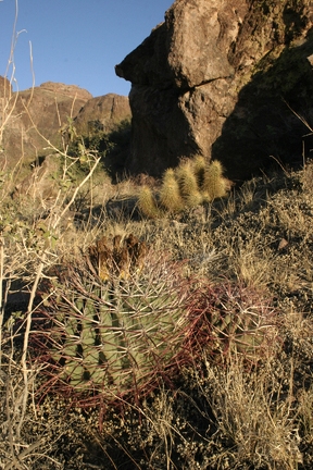 Поездка Олега Ковтуна (Украина) и Сергея Демо (США) в ноябре 2009