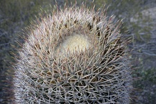 Поездка Олега Ковтуна (Украина) и Сергея Демо (США) в ноябре 2009