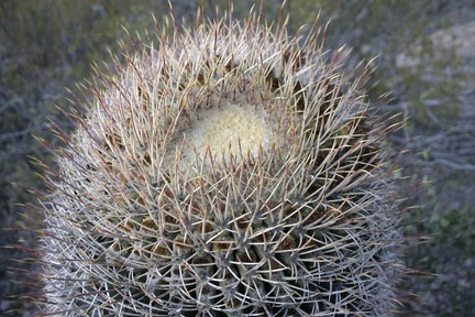 Поездка Олега Ковтуна (Украина) и Сергея Демо (США) в ноябре 2009