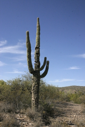 Поездка Олега Ковтуна (Украина) и Сергея Демо (США) в ноябре 2009