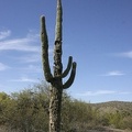 usa_2447.JPG