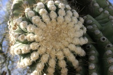 Поездка Олега Ковтуна (Украина) и Сергея Демо (США) в ноябре 2009