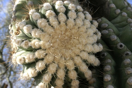 Поездка Олега Ковтуна (Украина) и Сергея Демо (США) в ноябре 2009