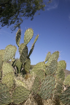 Поездка Олега Ковтуна (Украина) и Сергея Демо (США) в ноябре 2009