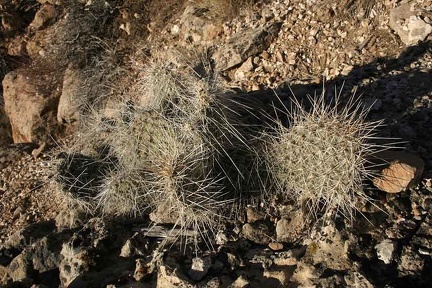 Поездка Олега Ковтуна (Украина) и Сергея Демо (США) в ноябре 2009