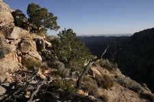 Поездка Олега Ковтуна (Украина) и Сергея Демо (США) в ноябре 2009