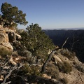 usa_2549.jpg