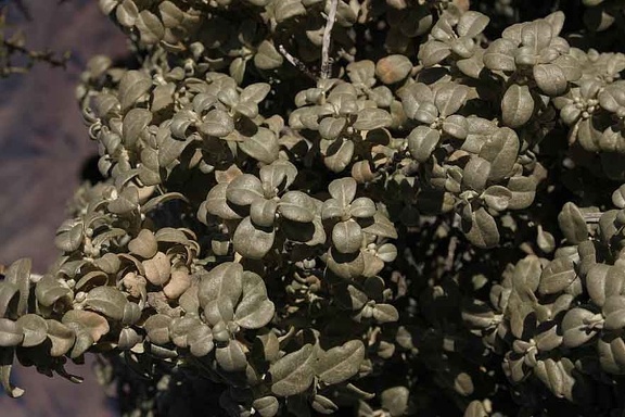 Поездка Олега Ковтуна (Украина) и Сергея Демо (США) в ноябре 2009