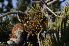 Поездка Олега Ковтуна (Украина) и Сергея Демо (США) в ноябре 2009