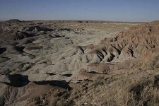 Поездка Олега Ковтуна (Украина) и Сергея Демо (США) в ноябре 2009