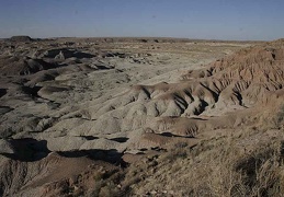 Поездка Олега Ковтуна (Украина) и Сергея Демо (США) в ноябре 2009