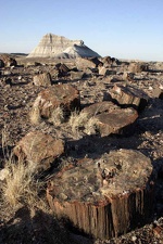 Поездка Олега Ковтуна (Украина) и Сергея Демо (США) в ноябре 2009