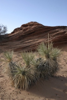 Поездка Олега Ковтуна (Украина) и Сергея Демо (США) в ноябре 2009