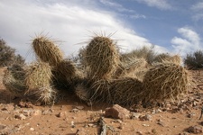 Поездка Олега Ковтуна (Украина) и Сергея Демо (США) в ноябре 2009