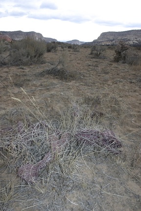 Поездка Олега Ковтуна (Украина) и Сергея Демо (США) в ноябре 2009