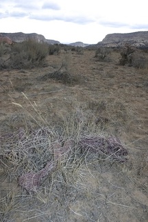 Поездка Олега Ковтуна (Украина) и Сергея Демо (США) в ноябре 2009