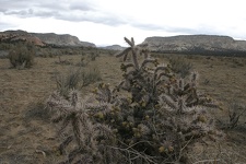 Поездка Олега Ковтуна (Украина) и Сергея Демо (США) в ноябре 2009