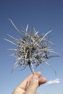 Поездка Олега Ковтуна (Украина) и Сергея Демо (США) в ноябре 2009