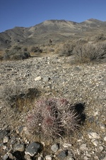 Поездка Олега Ковтуна (Украина) и Сергея Демо (США) в ноябре 2009