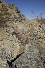 Поездка Олега Ковтуна (Украина) и Сергея Демо (США) в ноябре 2009