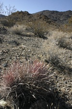 Поездка Олега Ковтуна (Украина) и Сергея Демо (США) в ноябре 2009