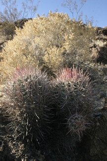 Поездка Олега Ковтуна (Украина) и Сергея Демо (США) в ноябре 2009