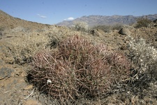 Поездка Олега Ковтуна (Украина) и Сергея Демо (США) в ноябре 2009