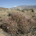 usa_3012.JPG