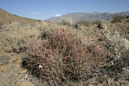 Поездка Олега Ковтуна (Украина) и Сергея Демо (США) в ноябре 2009