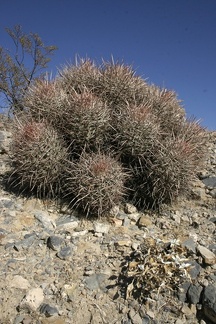 Поездка Олега Ковтуна (Украина) и Сергея Демо (США) в ноябре 2009