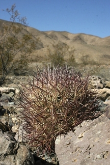 Поездка Олега Ковтуна (Украина) и Сергея Демо (США) в ноябре 2009