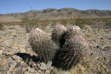 Поездка Олега Ковтуна (Украина) и Сергея Демо (США) в ноябре 2009