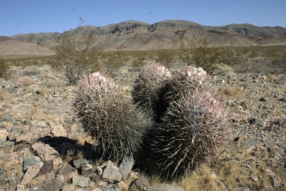 Поездка Олега Ковтуна (Украина) и Сергея Демо (США) в ноябре 2009