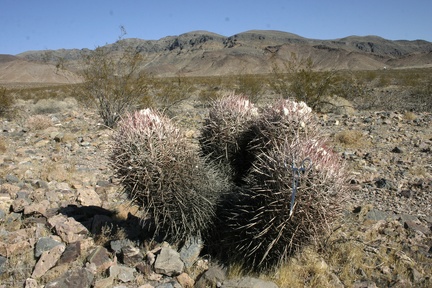 Поездка Олега Ковтуна (Украина) и Сергея Демо (США) в ноябре 2009