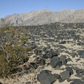 usa_3046.JPG