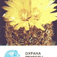 Календарик