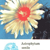 Календарик