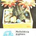 Календарик