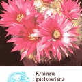 Календарик