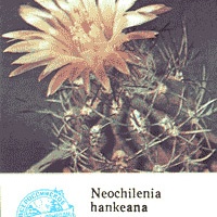 Календарик