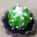 Мыло ручной работы в виде Astrophytum asterias