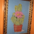 IMG_2066.jpg