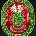 Значок ВОКЛК