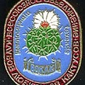 Значок ВОКЛК